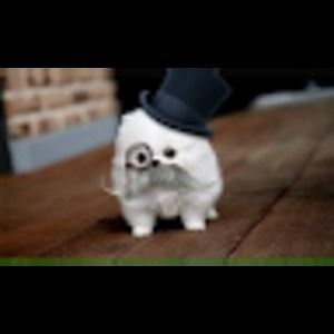 Meet your Posher, Diego